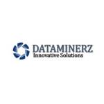 Dataminerz Innovative Solutions Profile Picture